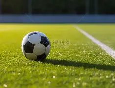 第十届金陀,螺奖评审团,盛大登场,B体育官网,APP下载,注册领彩金,官方网站,网站入口