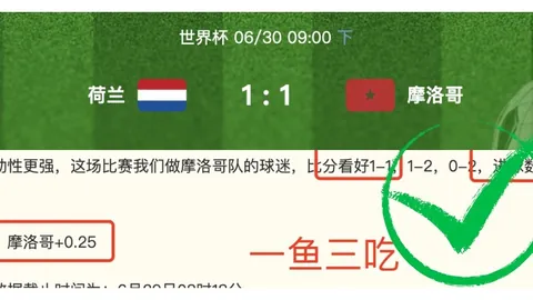体育 ，B体育平台，050552